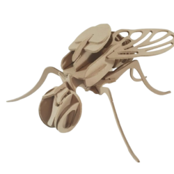House Fly (Large) Model Kit