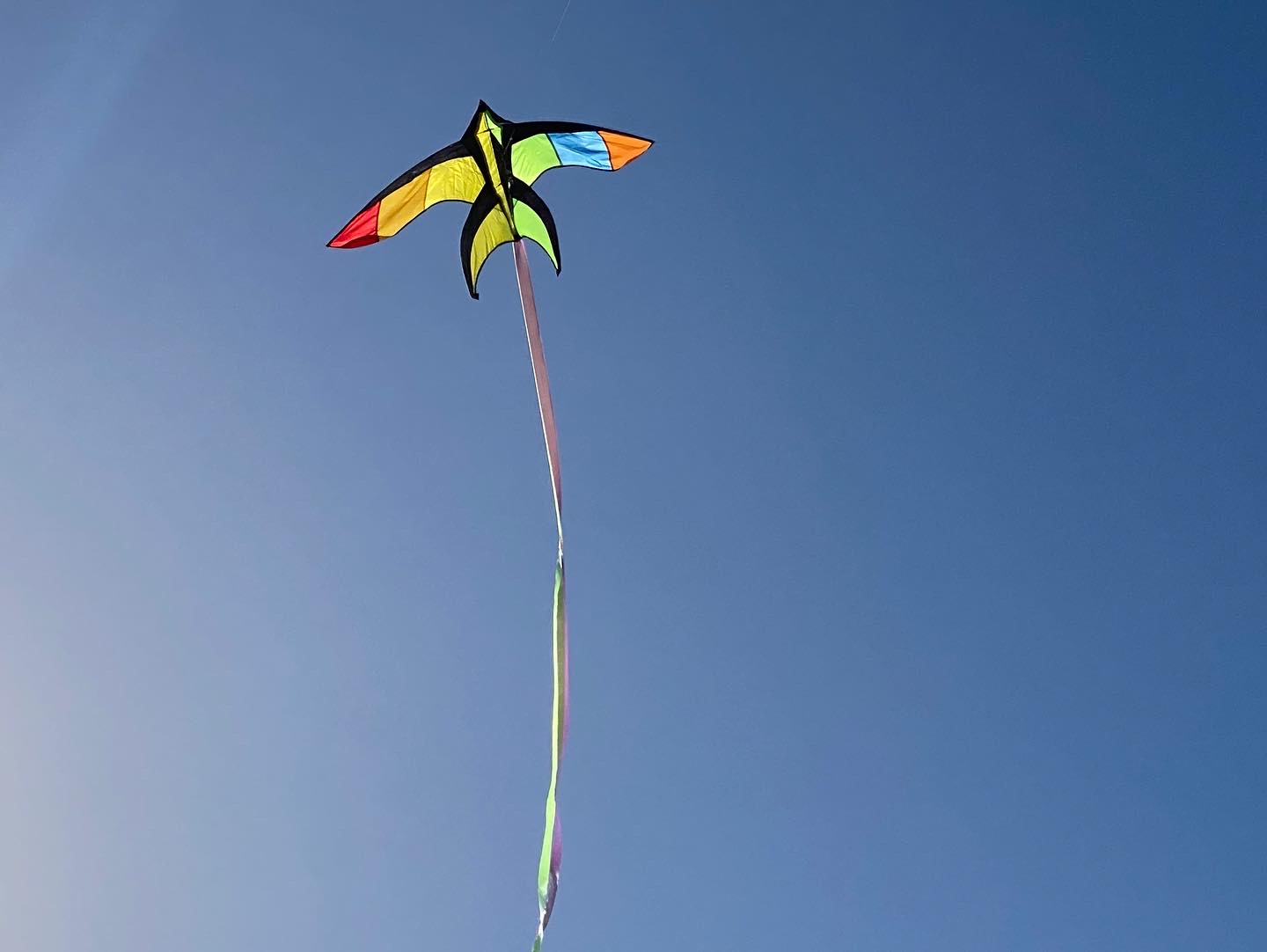 Swallowtail - Single Line Kite - Image 3