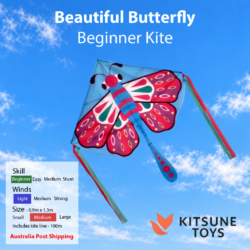 Beautiful Butterfly - Beginner Kite