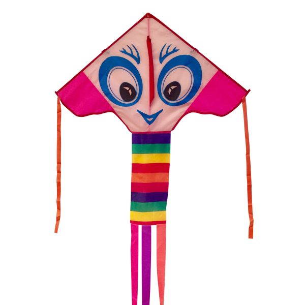 Bright Eyes - Beginner Kite - Image 2