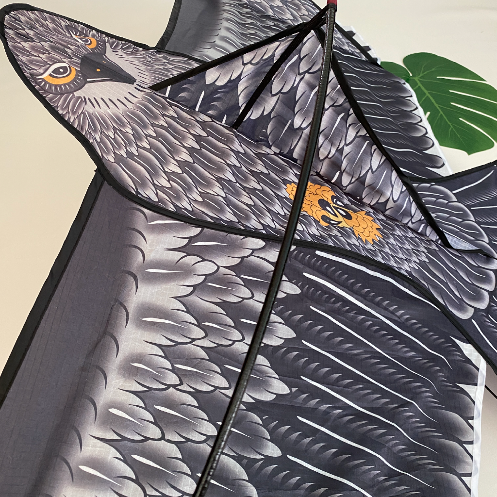 Eagle - Single Line Kite - Image 5