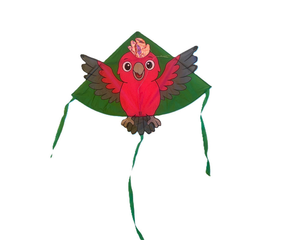 Galah - Single Line Kite - Image 2