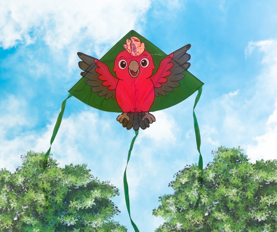 Galah - Single Line Kite - Image 3