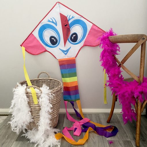 Bright Eyes - Beginner Kite - Image 3