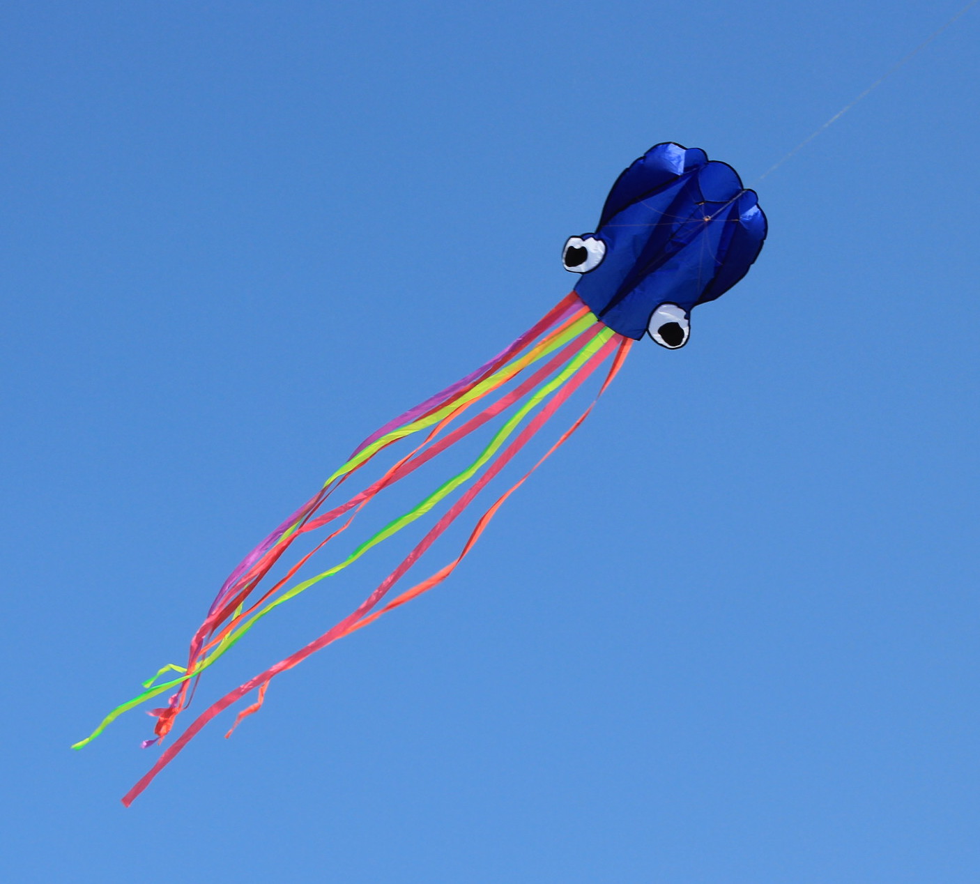 Octopus (Blue) - Beginner Kite - Image 2