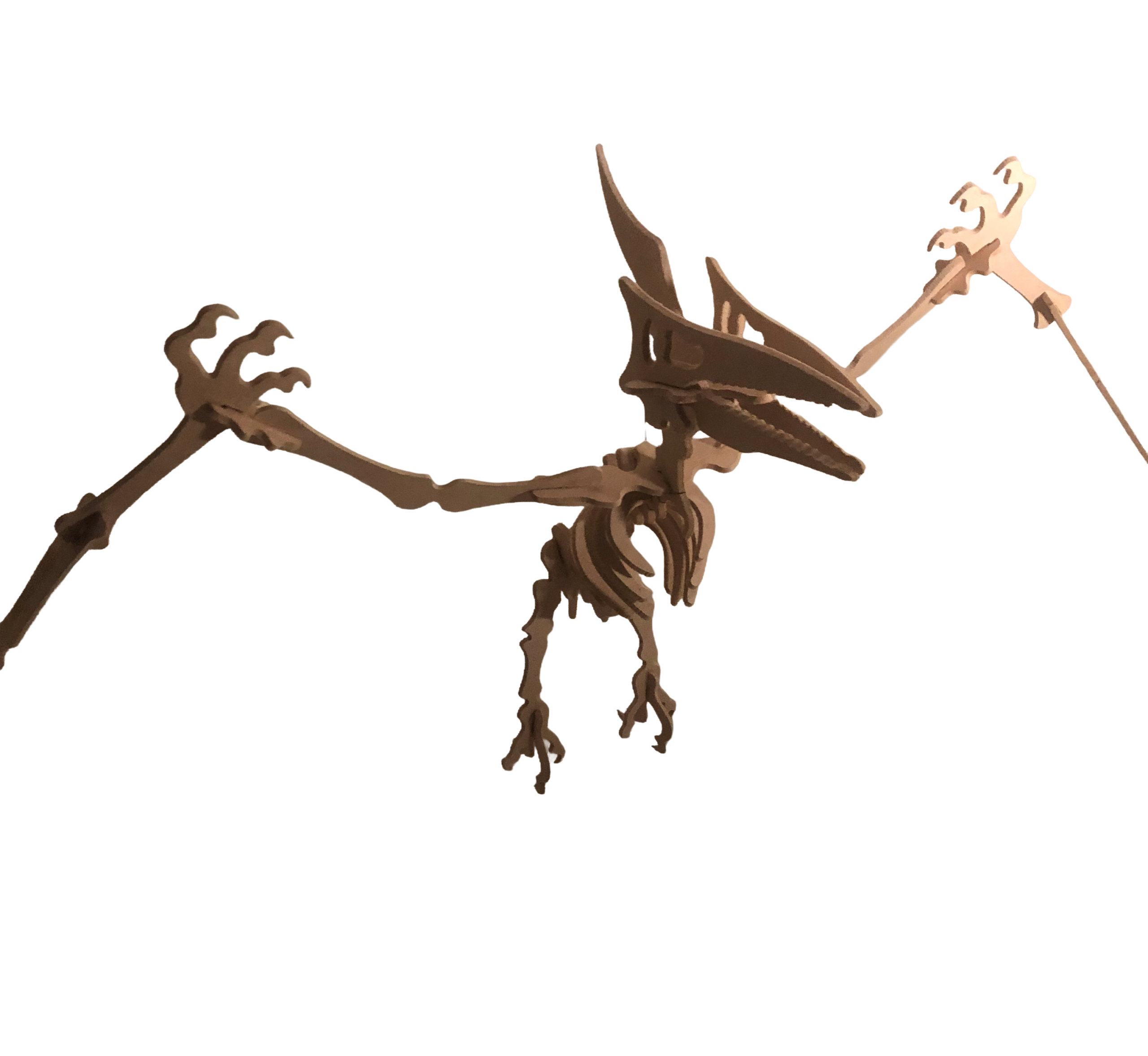 Flugsaurier Model Kit - Image 3