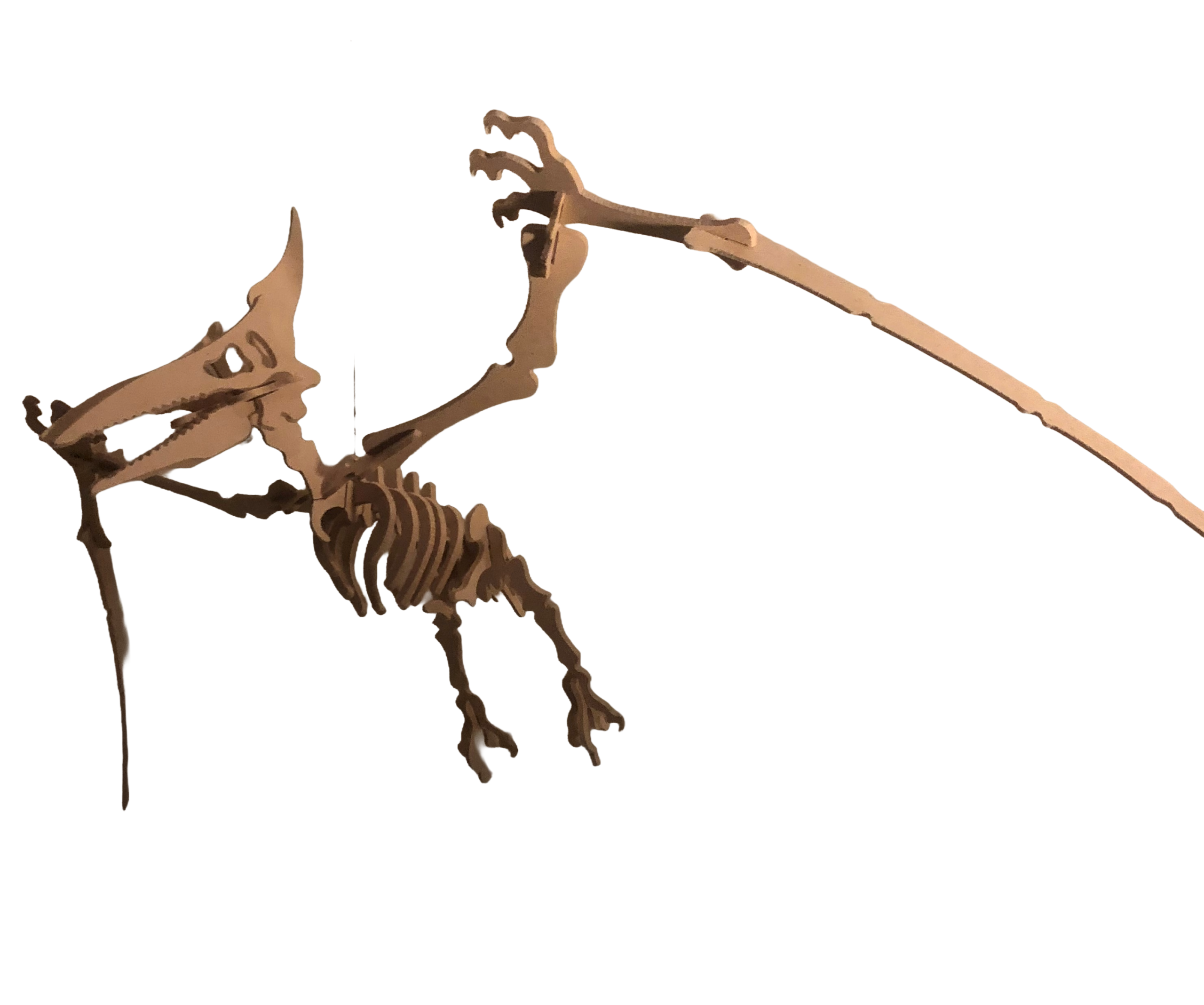 Flugsaurier Model Kit - Image 2