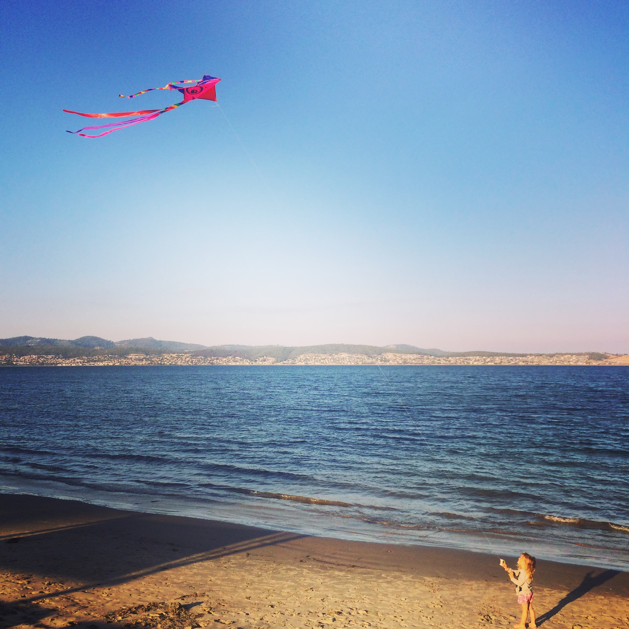 Bright Eyes - Beginner Kite - Image 5