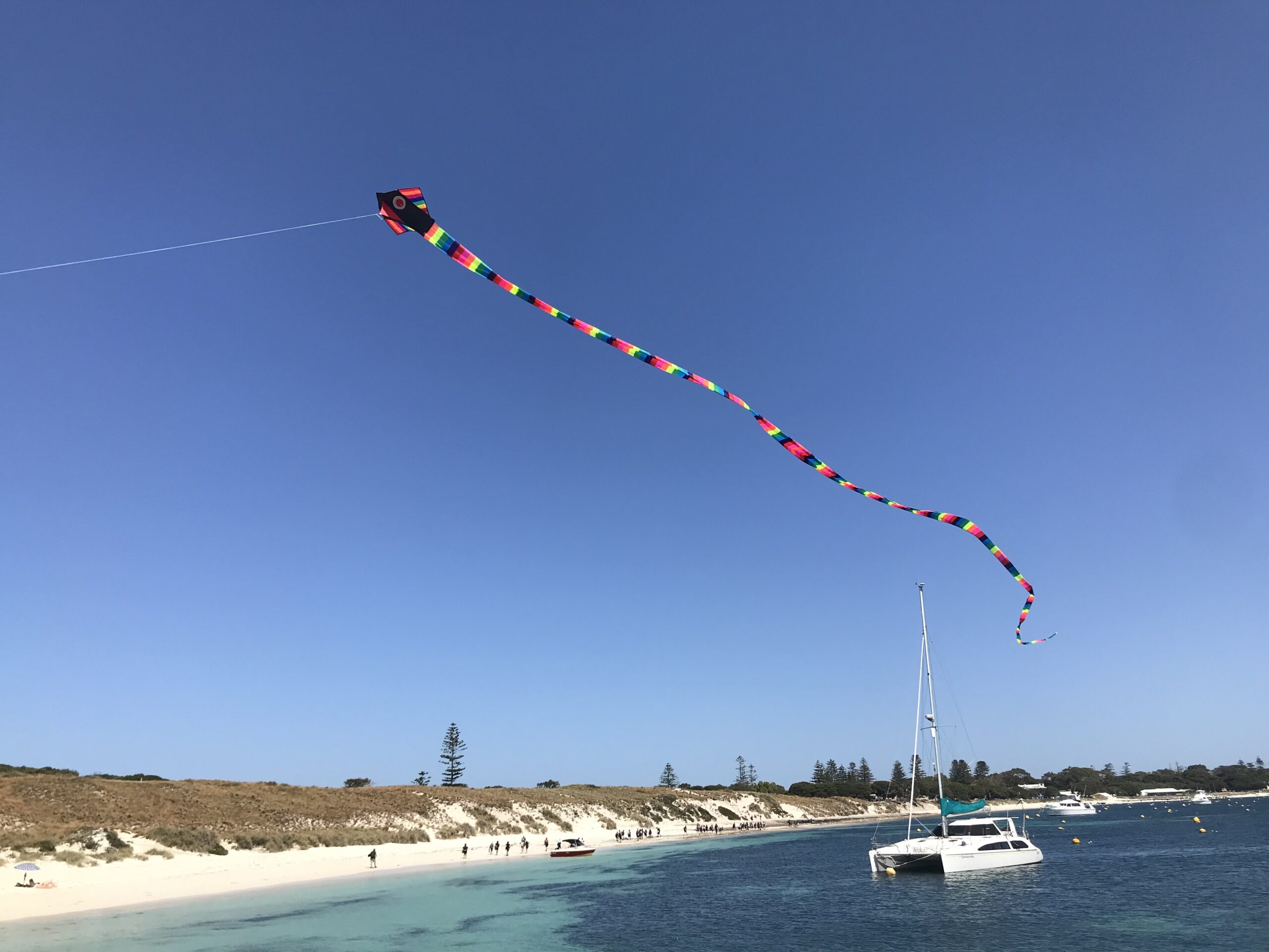 Cobra - Single Line Kite - Image 6