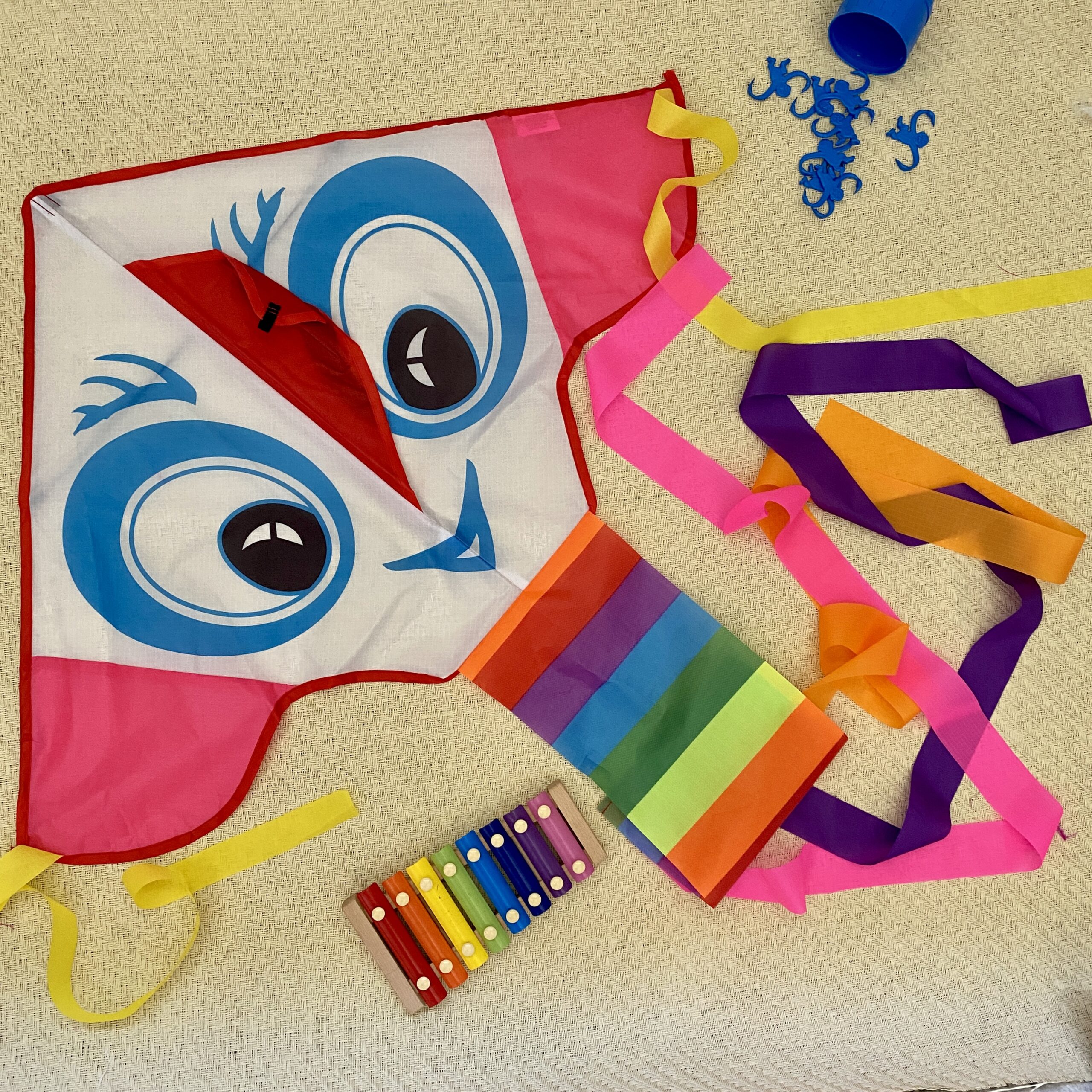 Bright Eyes - Beginner Kite - Image 4