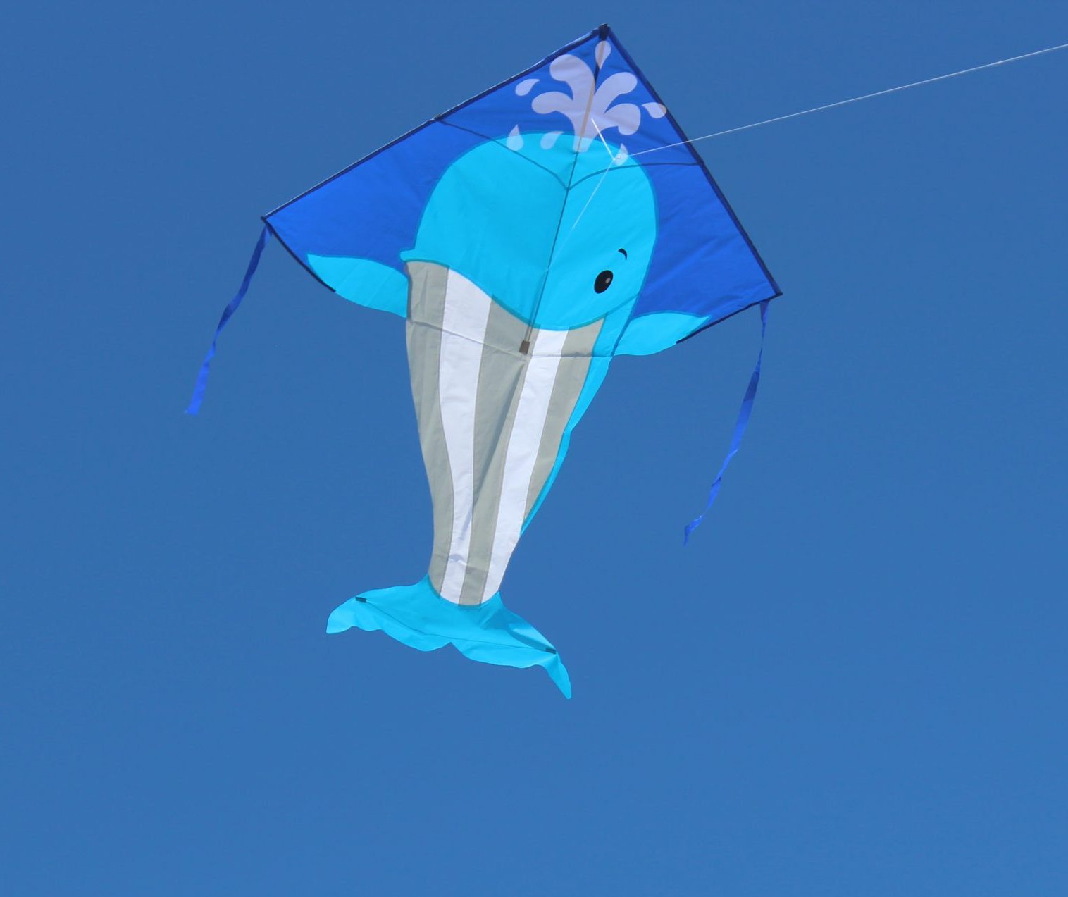Whale - Single Line Kite - Image 2