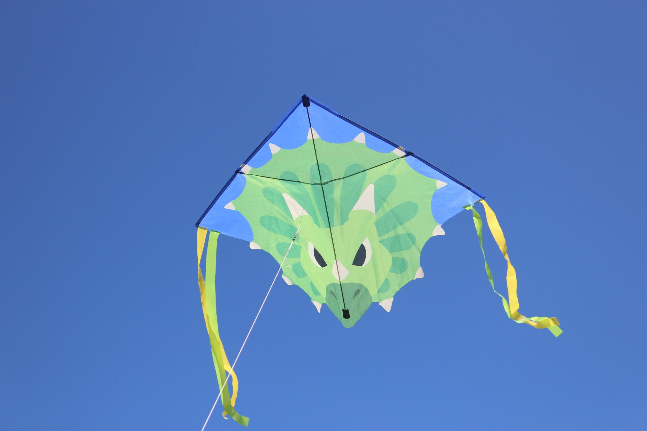 Triceratops - Beginner Kite - Image 3
