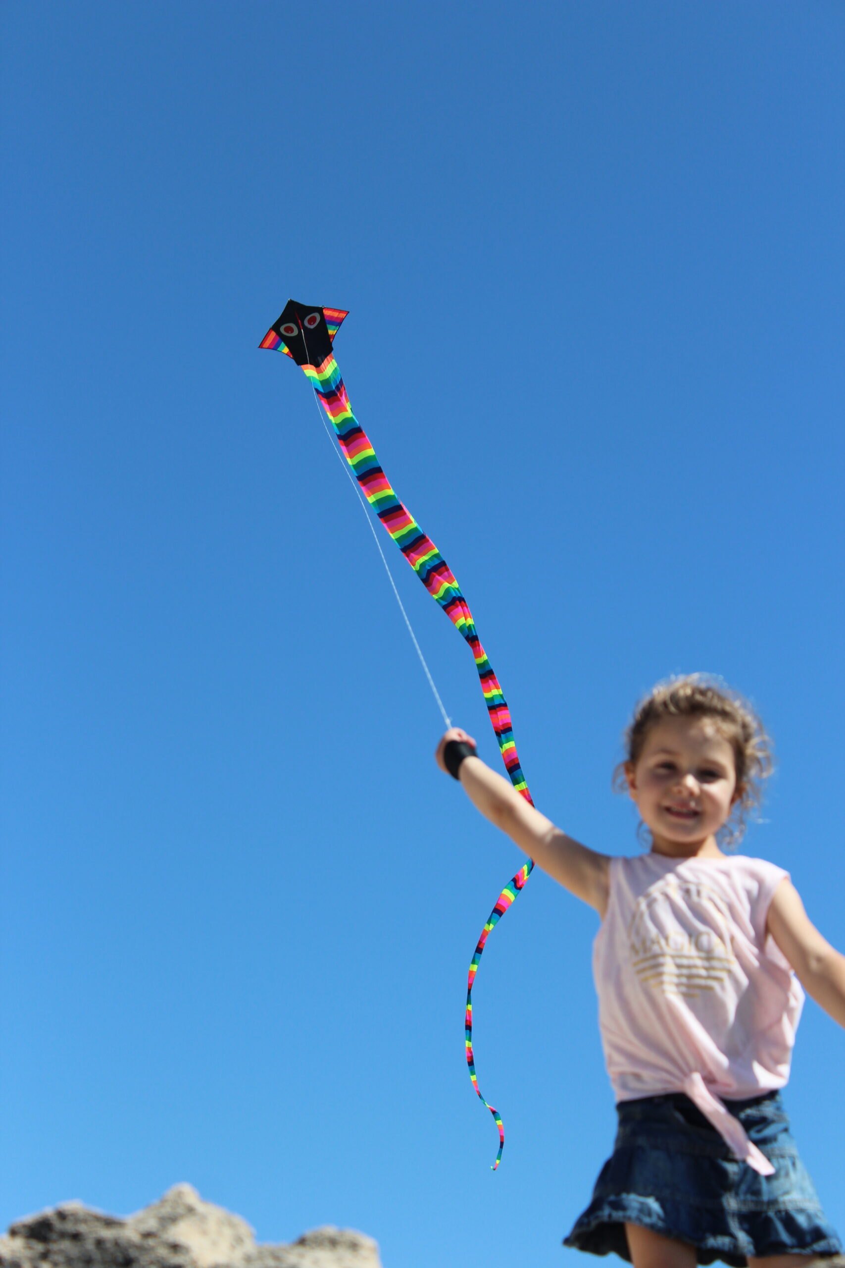 Cobra - Single Line Kite - Image 5
