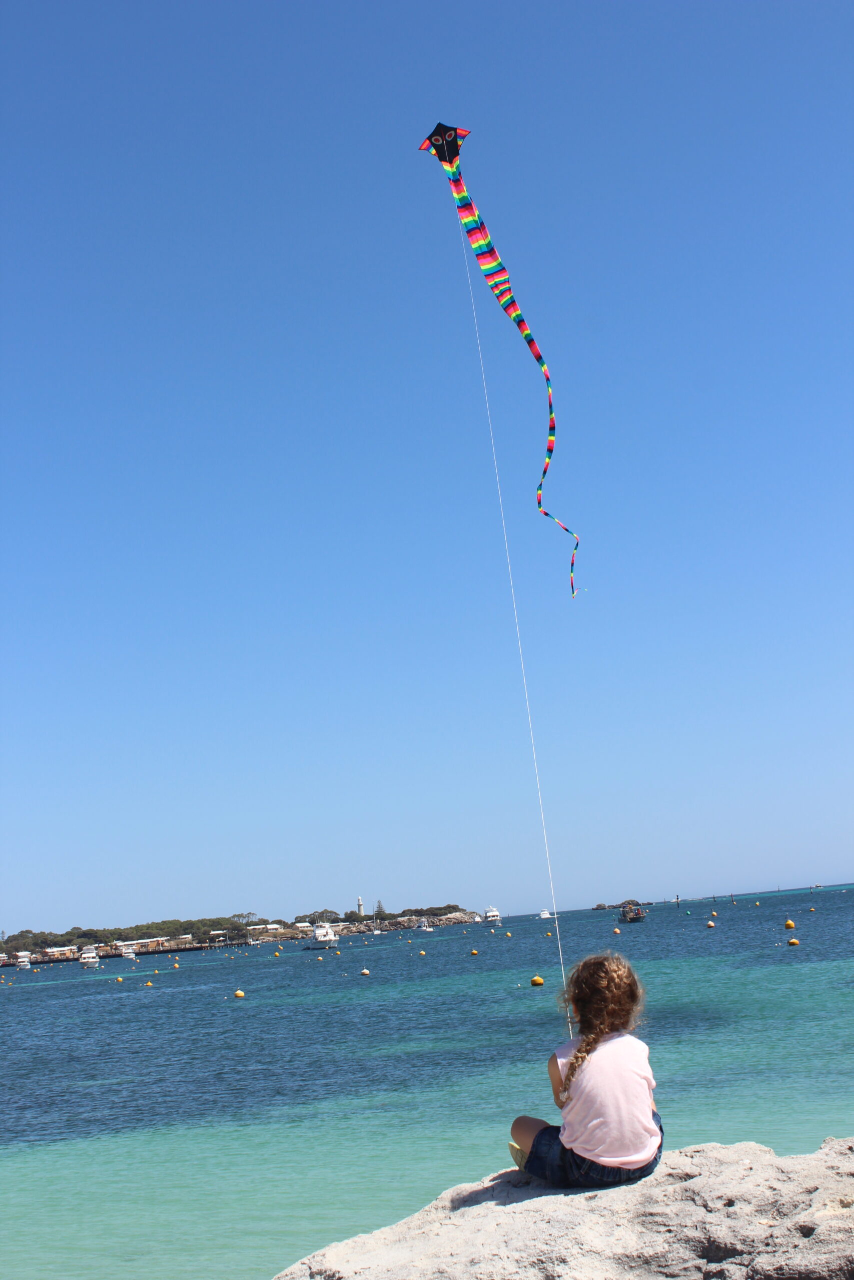 Cobra - Single Line Kite - Image 7