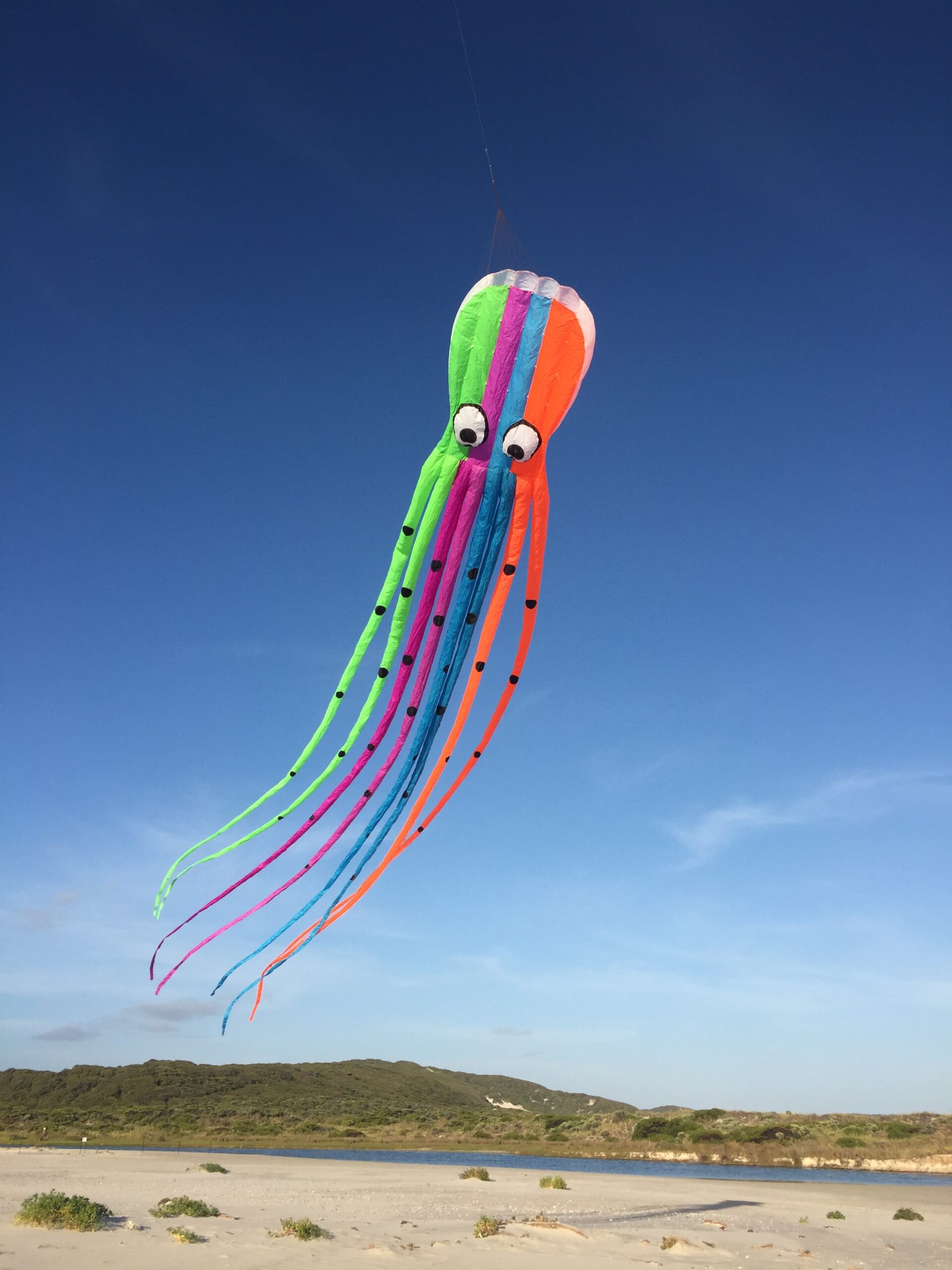 Rainbow Octopus - Inflatable Kite - Image 3