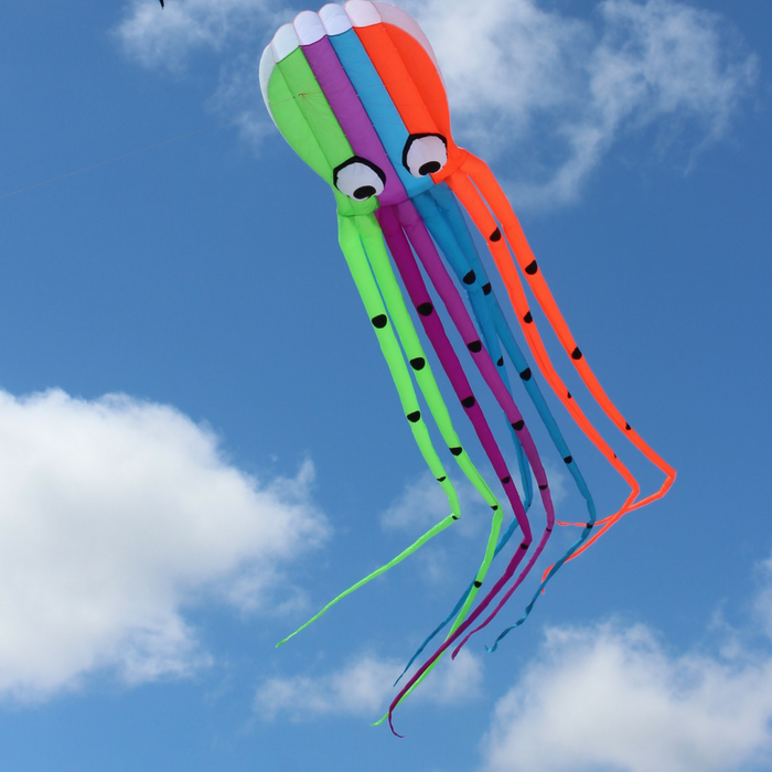 Rainbow Octopus - Inflatable Kite - Image 2