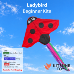 Ladybird - Beginner Kite