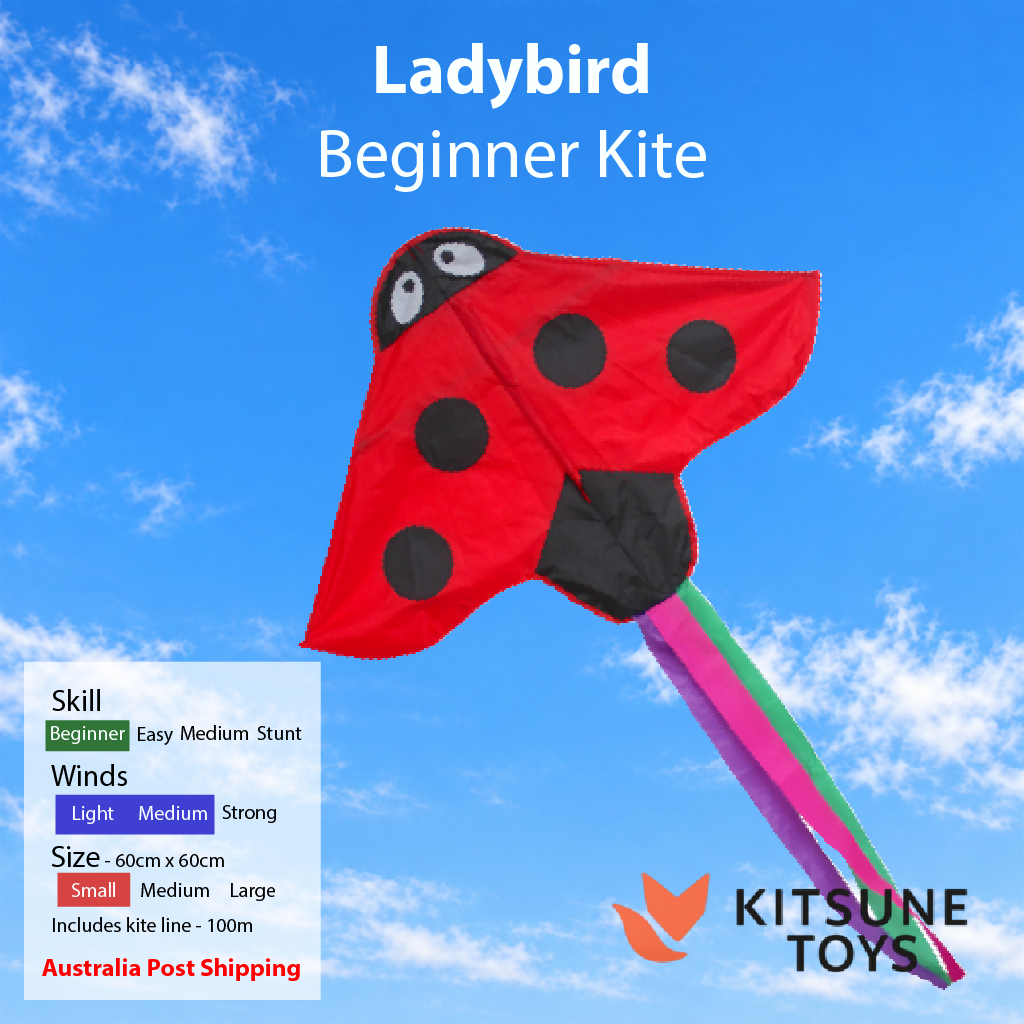 Ladybird - Beginner Kite