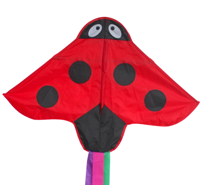 Ladybird - Beginner Kite - Image 2