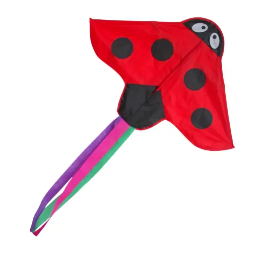 Ladybird - Beginner Kite - Image 4