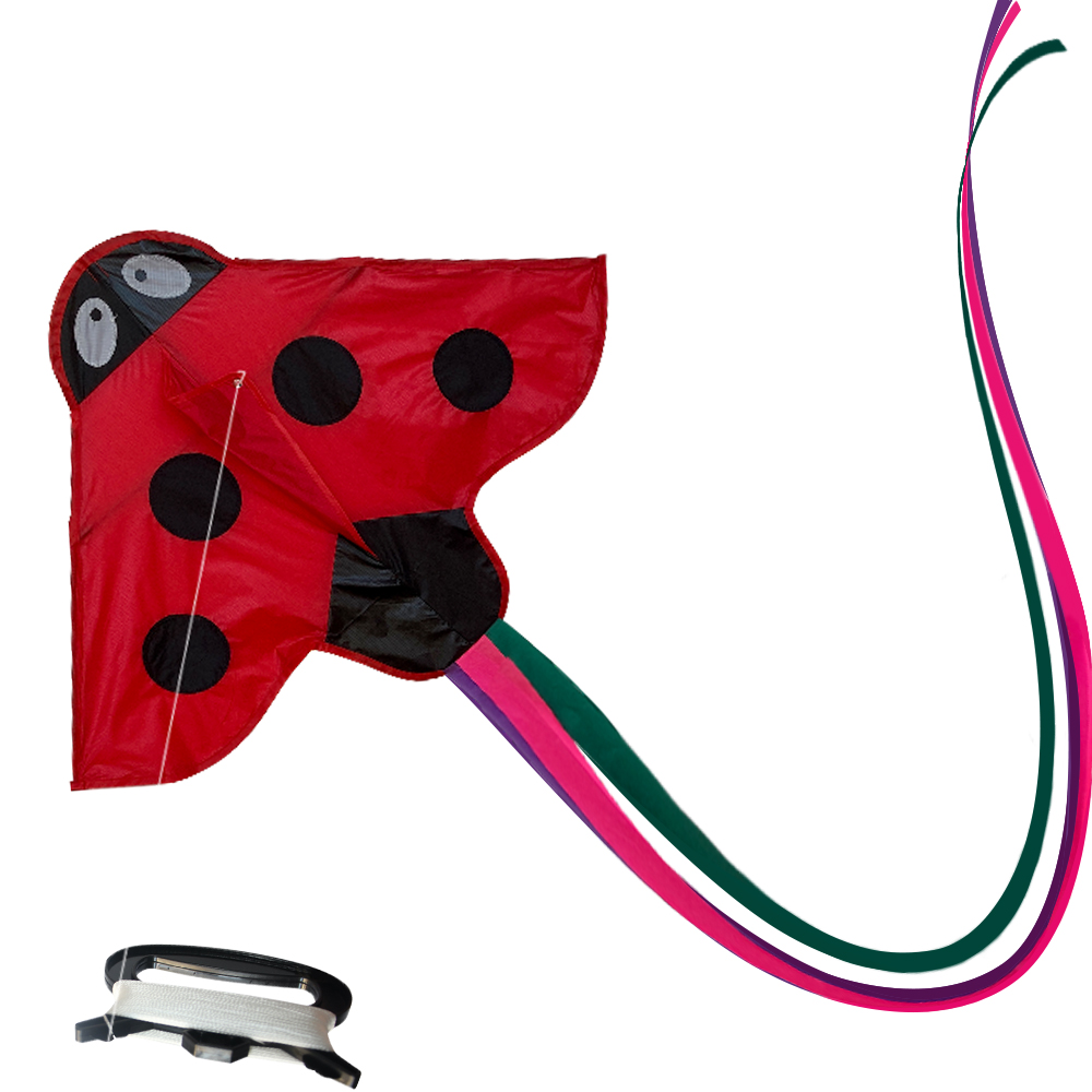 Ladybird - Beginner Kite - Image 3
