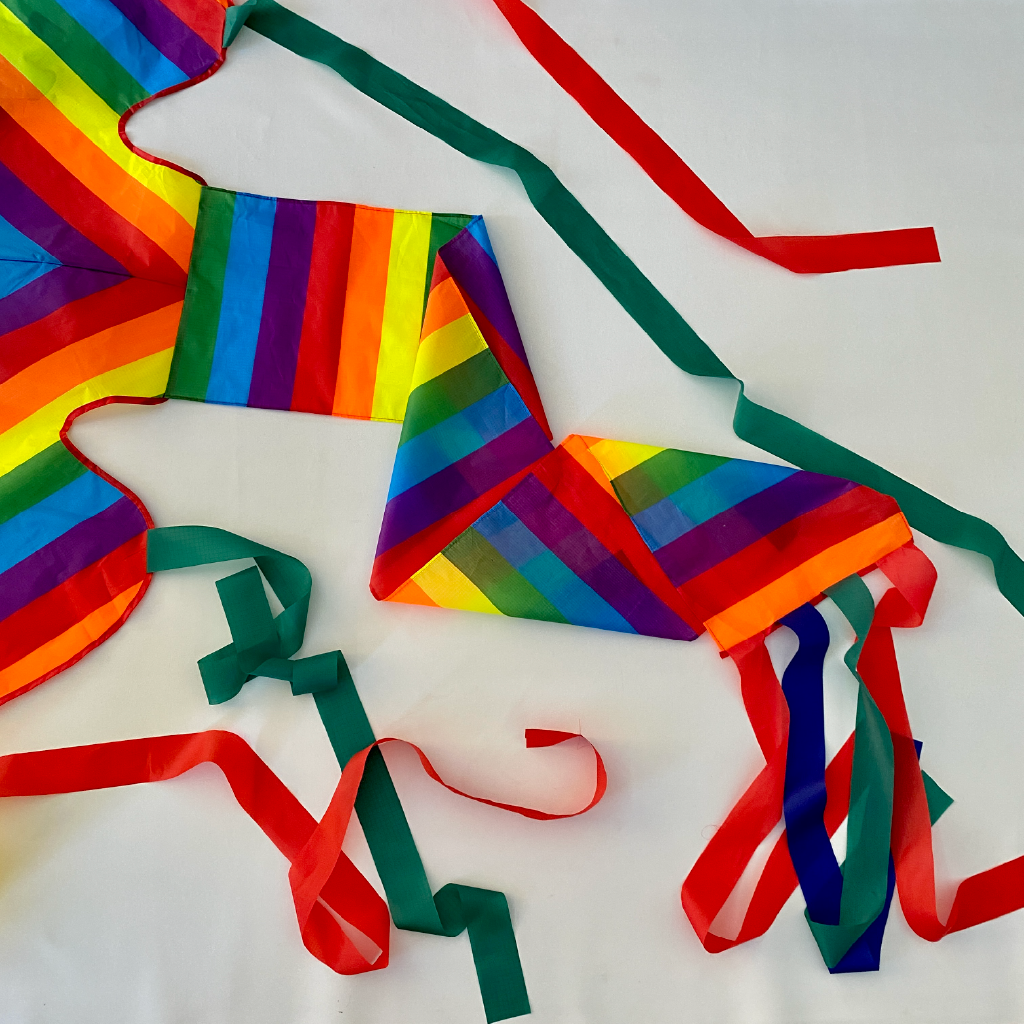 Large Rainbow - Single Line Kite - Image 4