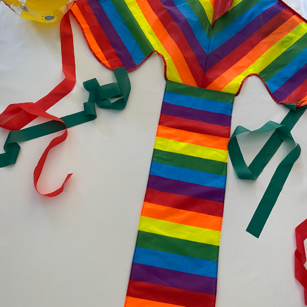 Large Rainbow - Single Line Kite - Image 6