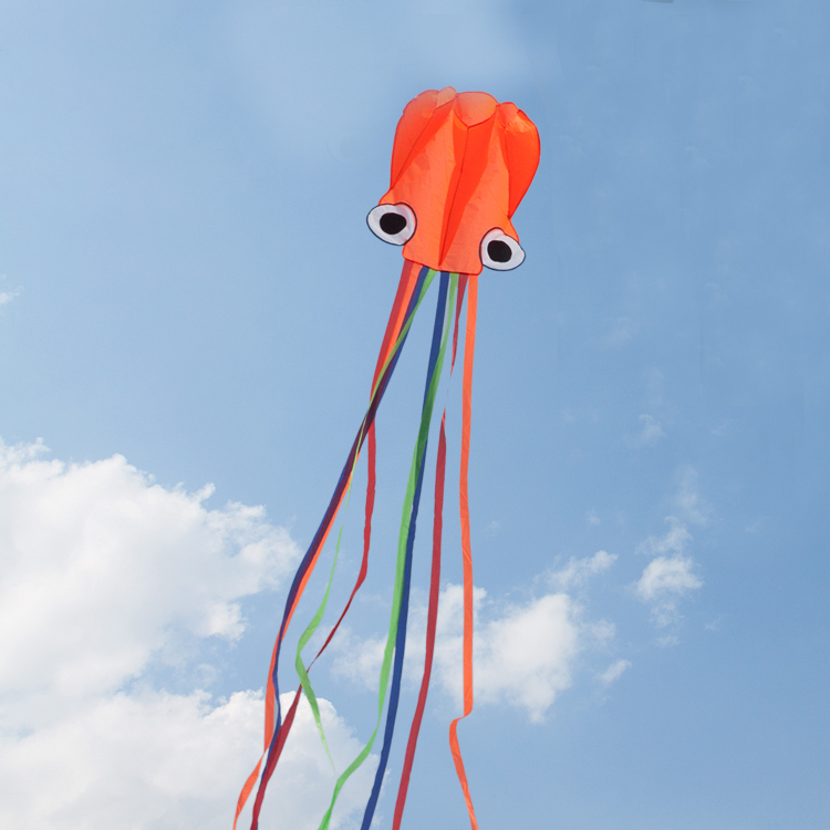 Octopus (Blue) - Beginner Kite - Image 4