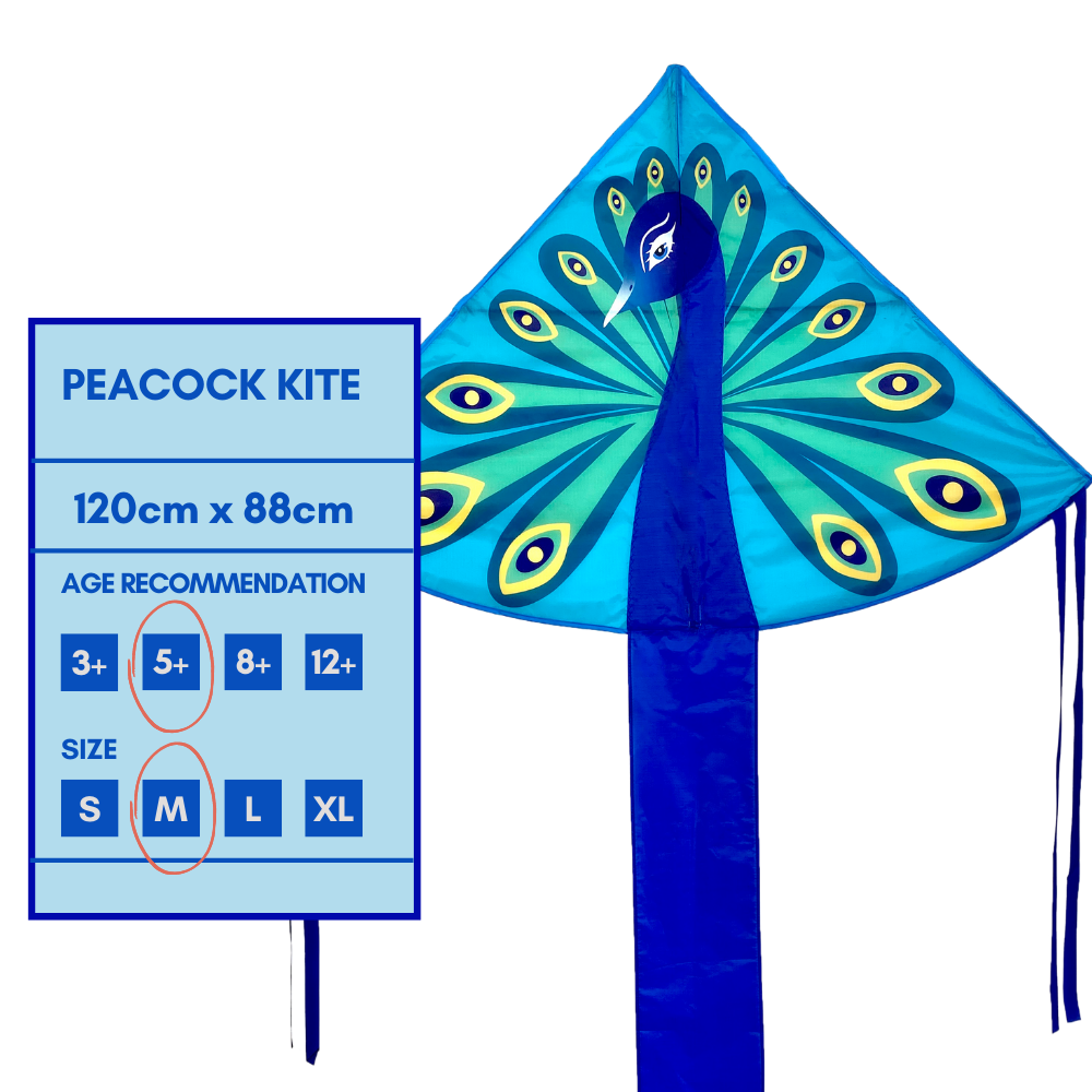 Peacock - Single Line Kite - Image 7