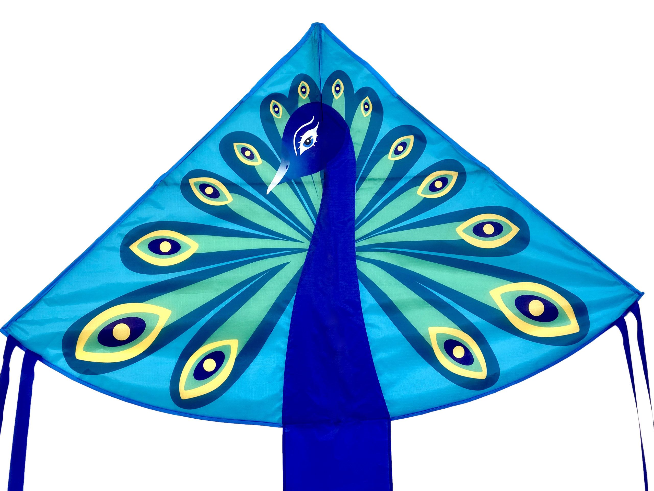 Peacock - Single Line Kite - Image 5