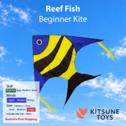 Reef Fish - Beginner Kite