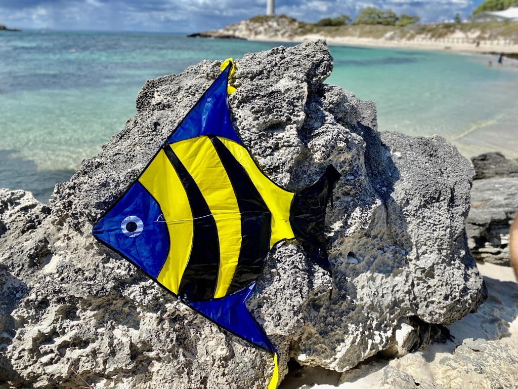 Reef Fish - Beginner Kite - Image 3
