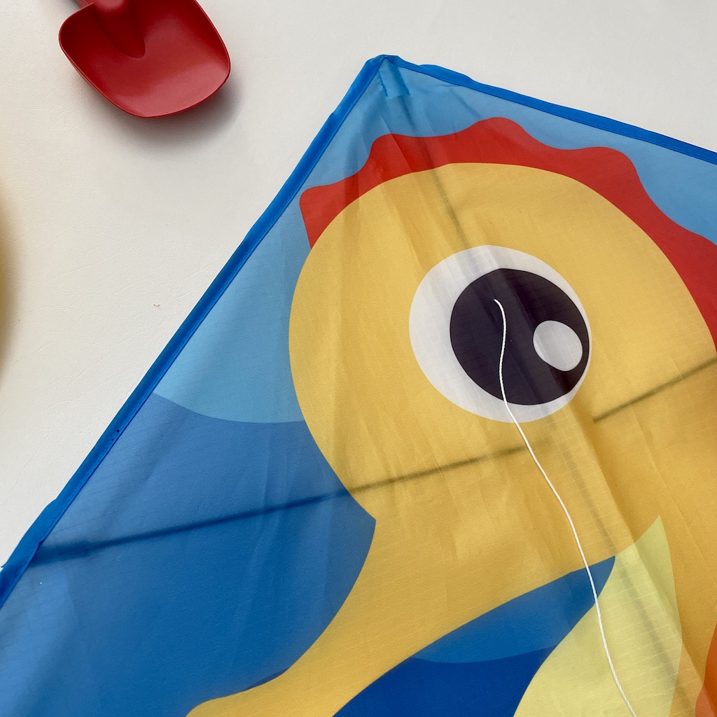 Seahorse - Beginner Kite - Image 4
