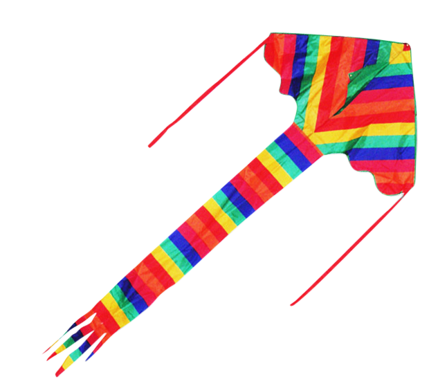 Small Rainbow - Beginner Kite - Image 2