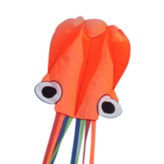 Octopus - Beginner Kite