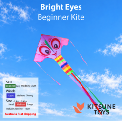 Bright Eyes - Beginner Kite