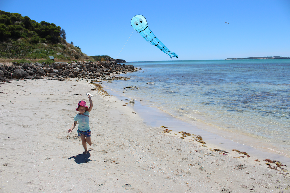 Jellyfish - Beginner Kite - Image 3