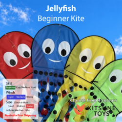 Jellyfish - Beginner Kite