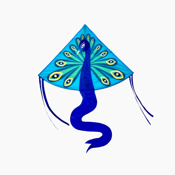 Peacock - Single Line Kite - Image 6