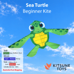 Sea Turtle - Beginner Kite