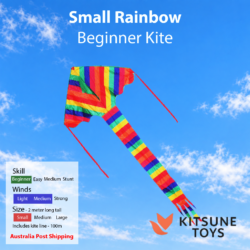 Small Rainbow - Beginner Kite